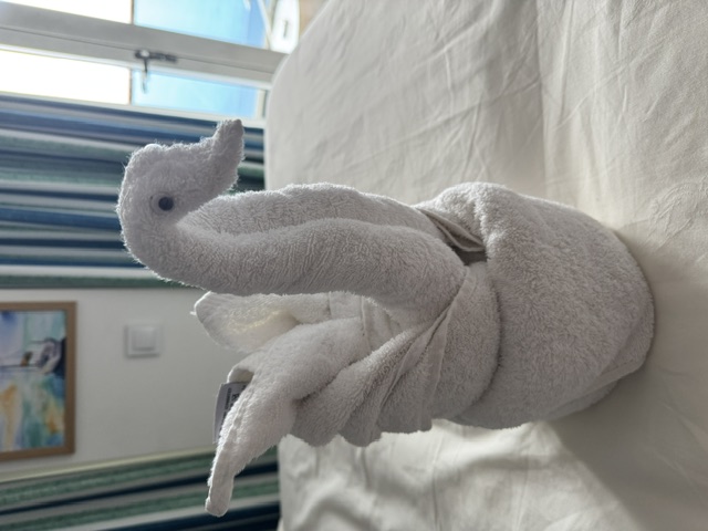 Towel animal left by housekeeping in the suite