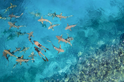 Anantara Veli Maldives Resort gallery image