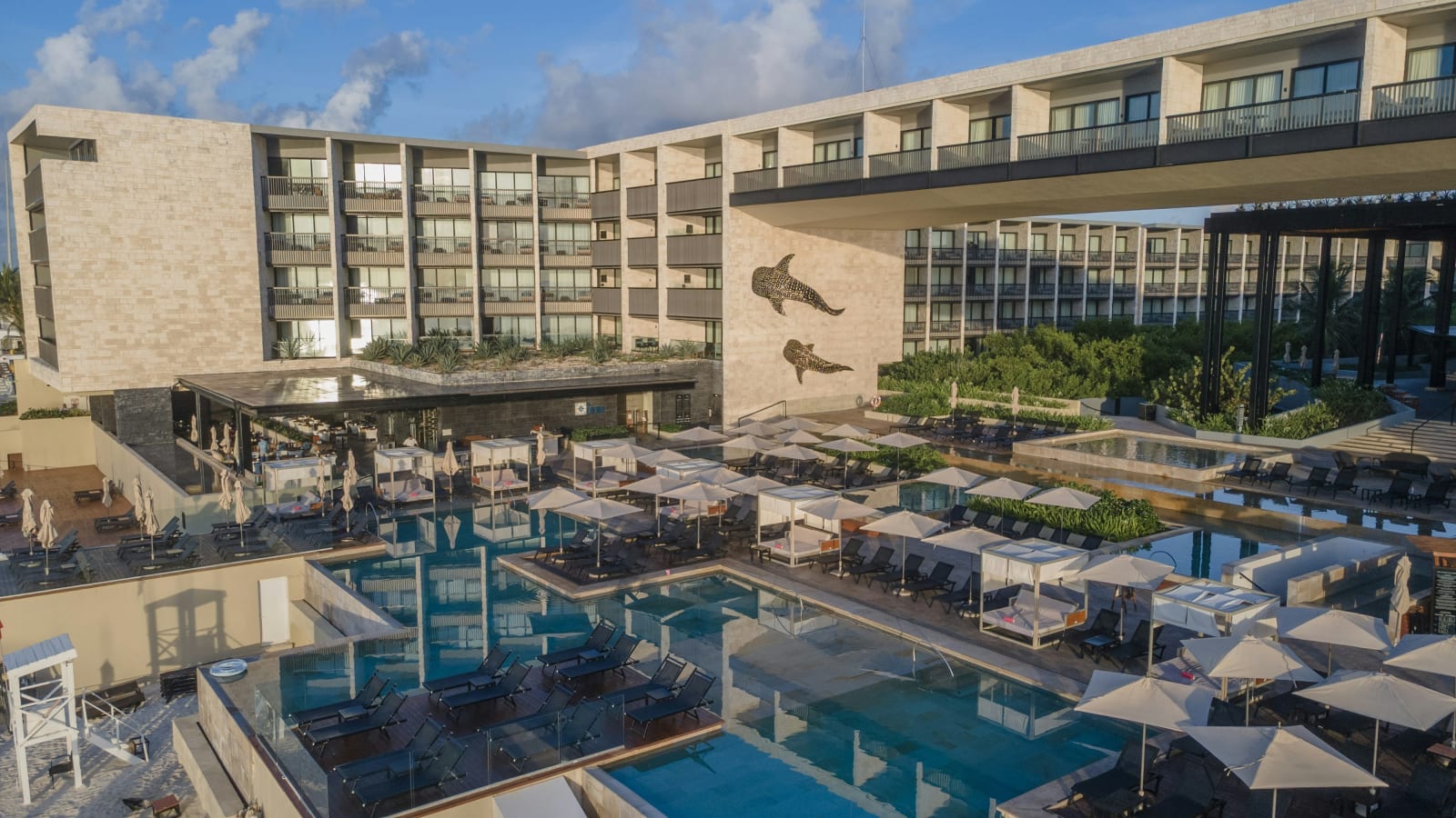 Devossion by Live Aqua Playa del Carmen hero image