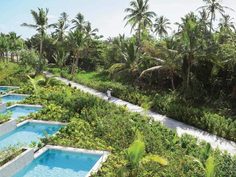 A row of private rooftop terrace plunge pools set into the greenery at Excellence El Carmen
