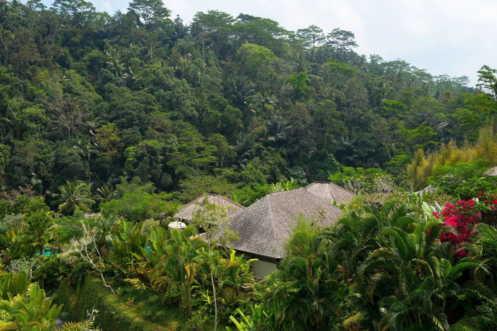 Mandapa, a Ritz-Carlton Reserve gallery image