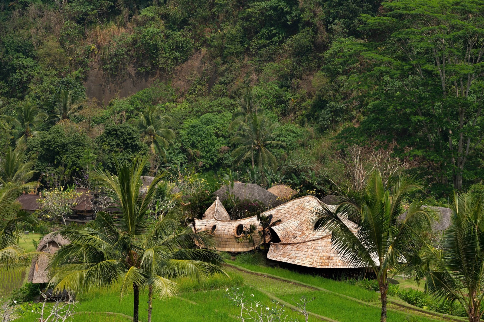 Mandapa, a Ritz-Carlton Reserve gallery image