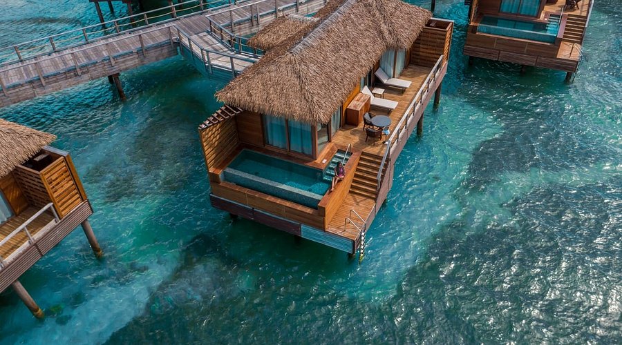 Overwater villa at Princess Senses The Mangrove, with a private infinity pool and steps down into the sea
