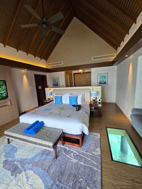 Pullman Maldives Maamutaa gallery image