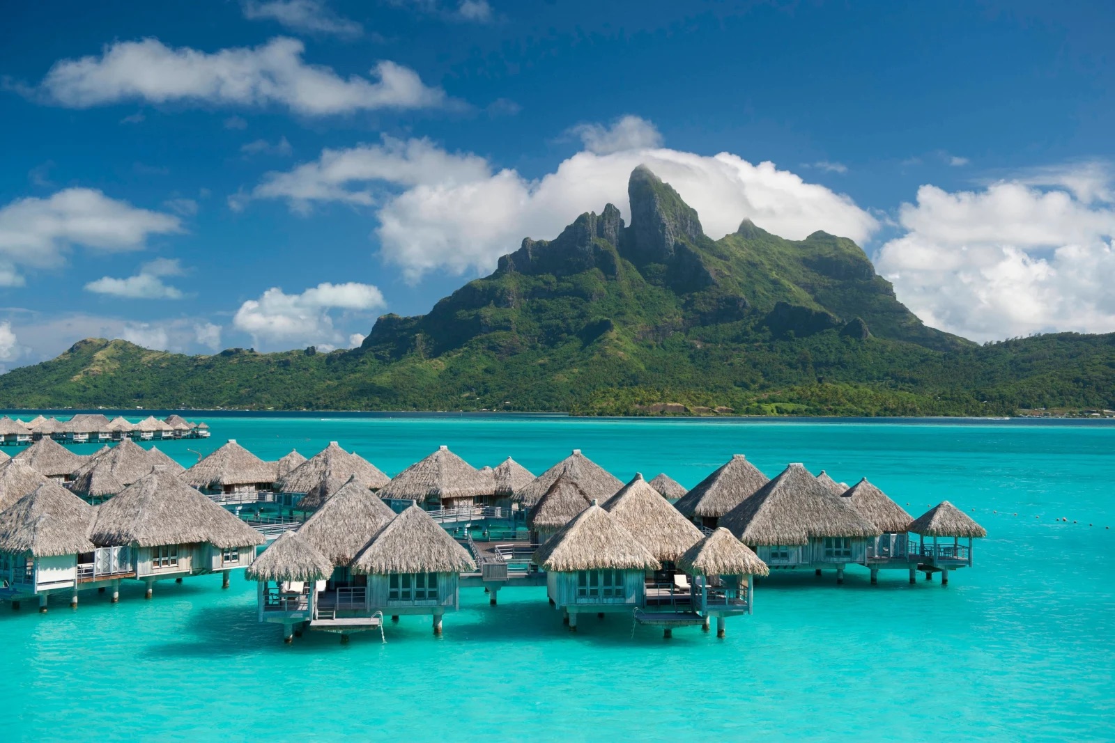 The St. Regis Bora Bora Resort gallery image