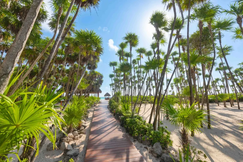 Valentin Imperial Maya gallery image